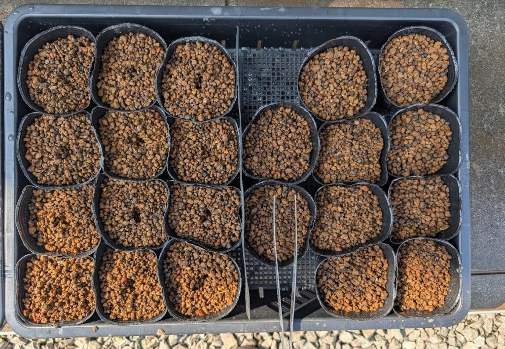 種まきの準備完了