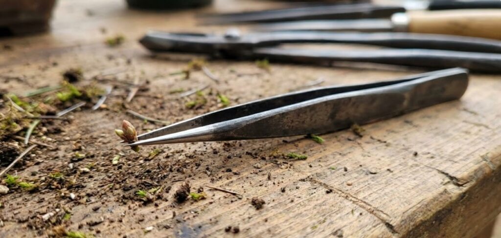 盆栽ピンセット