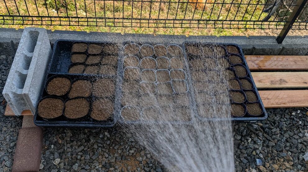 溢れんばかりの水やり