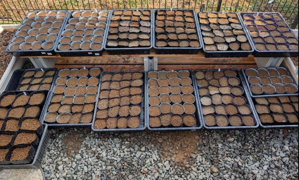 蒔いた種の一部