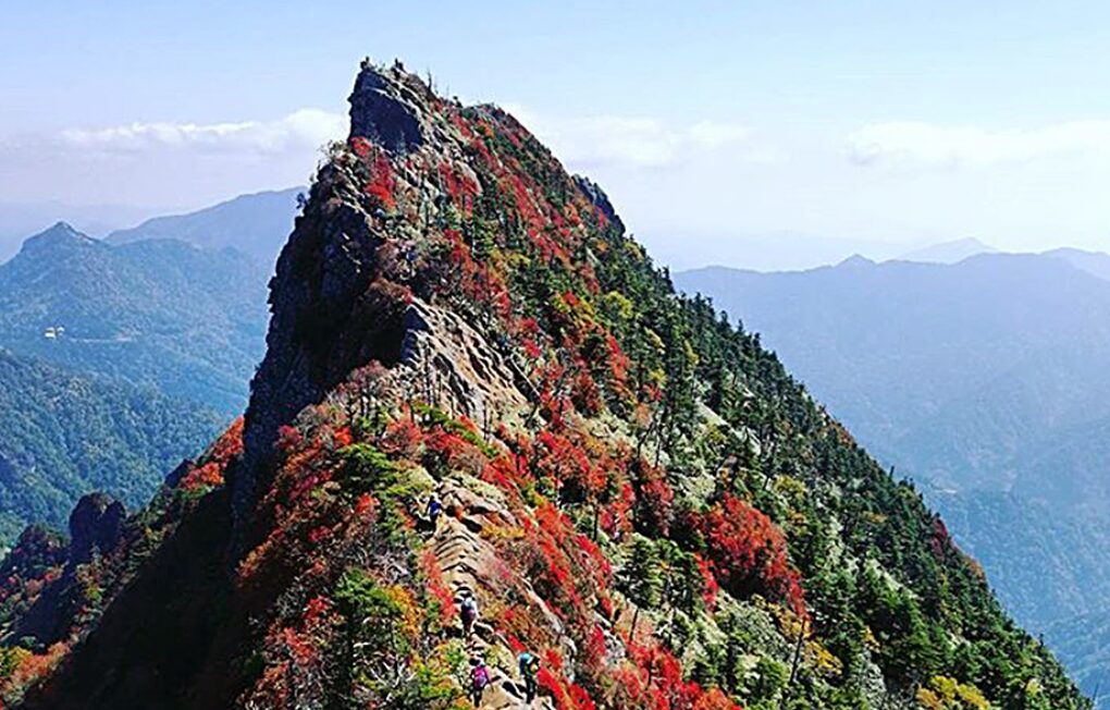 久万高原町観光協会より:石鎚山