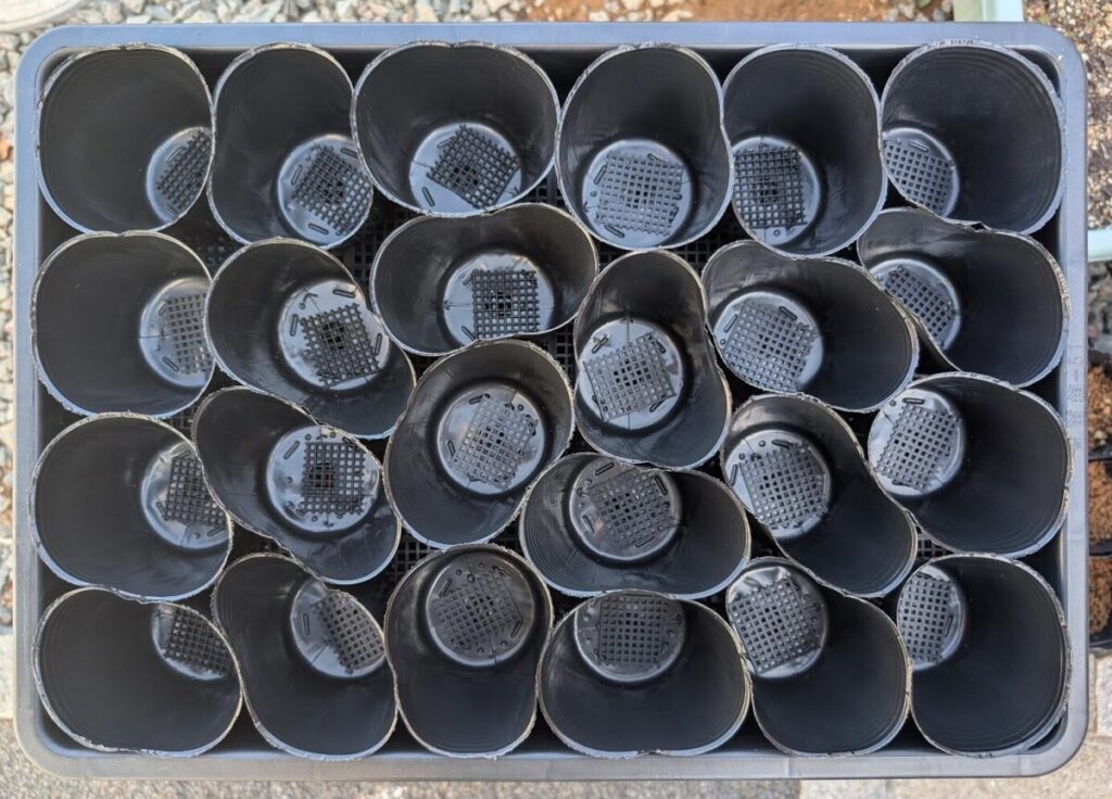 丸型ポット：24個