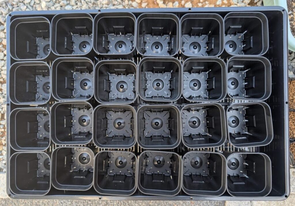 プレステラ90：24個