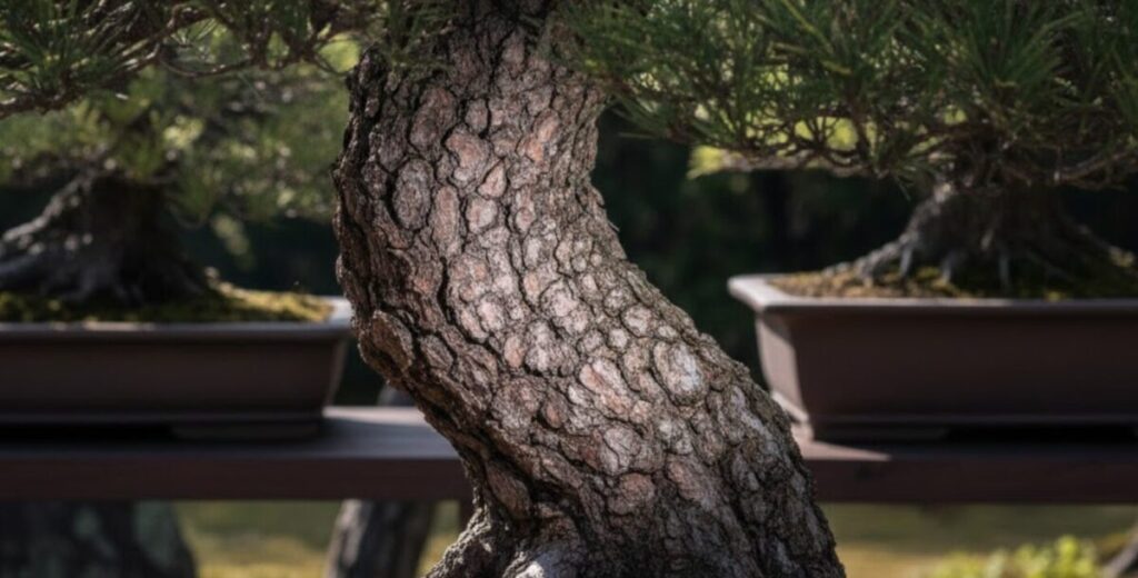 亀の甲羅のような肌