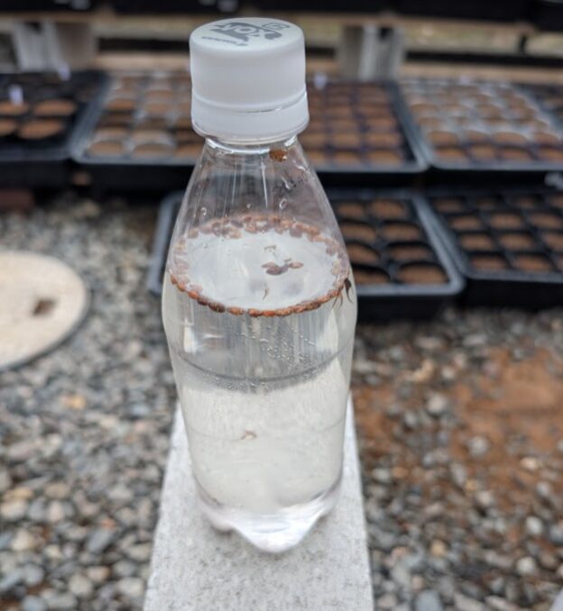 半分ぐらいが沈まなかったので少し心配しています