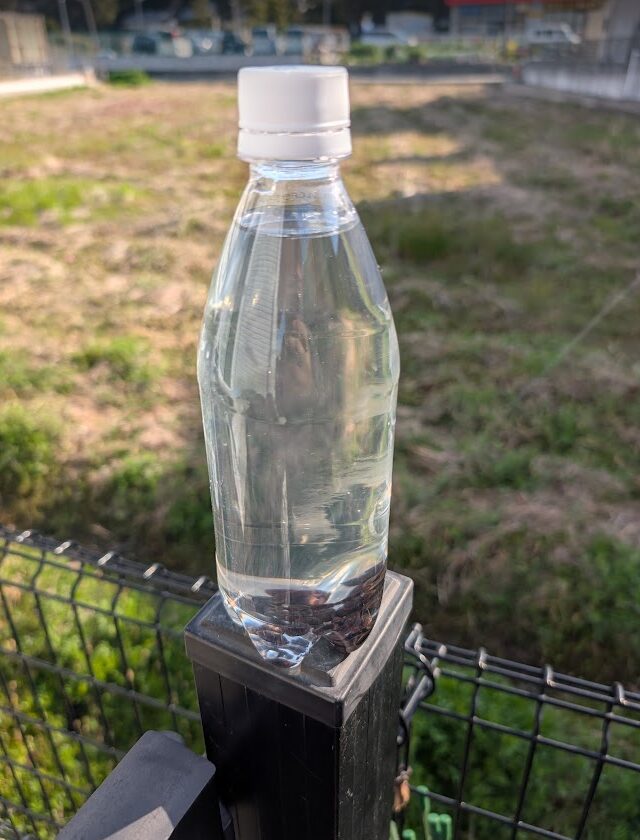 低温湿潤処理とメネデール