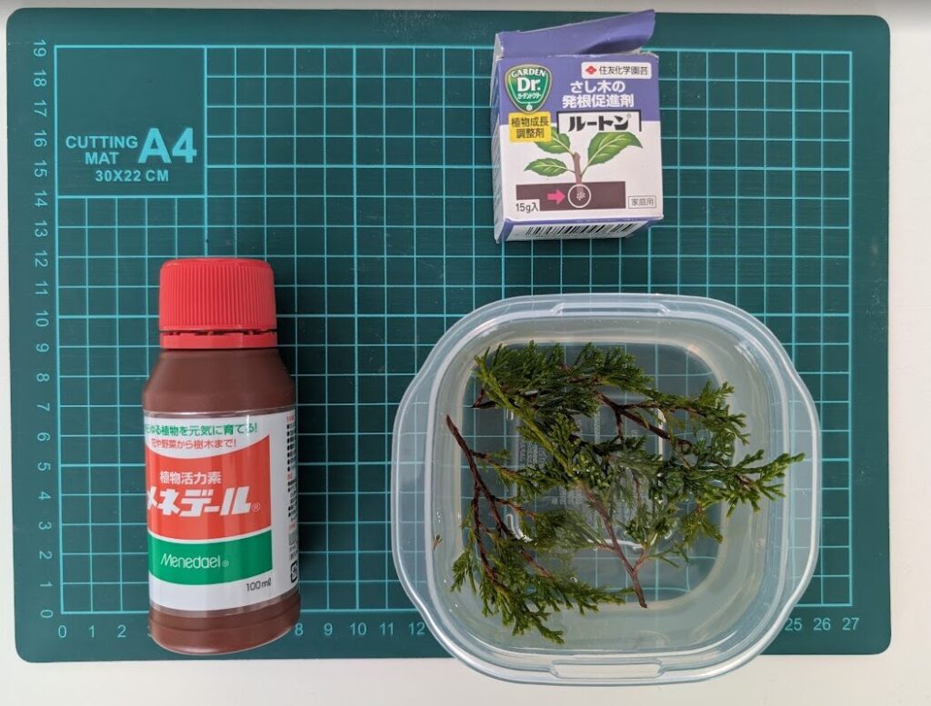 メネデール＆ルートン