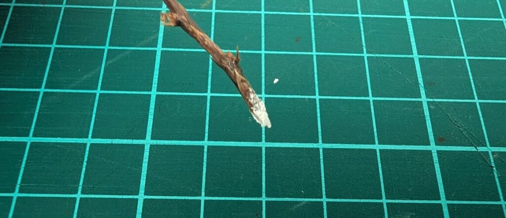 Vカットに優しくルートン