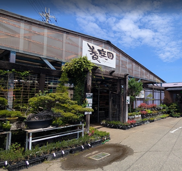 大阪屈指の盆栽園【養庄園】のご紹介