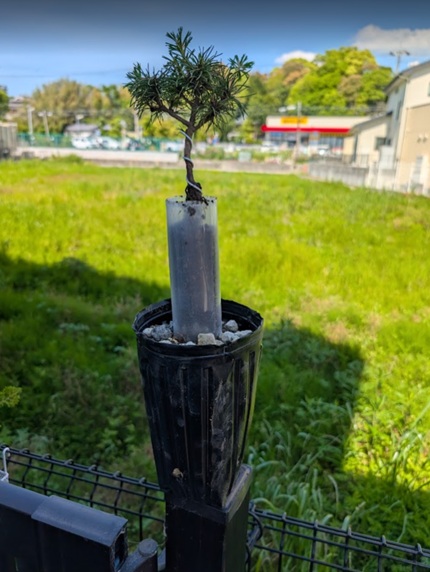 完成2