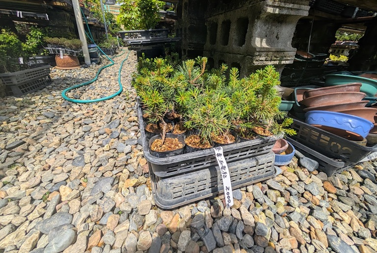 養庄園素材