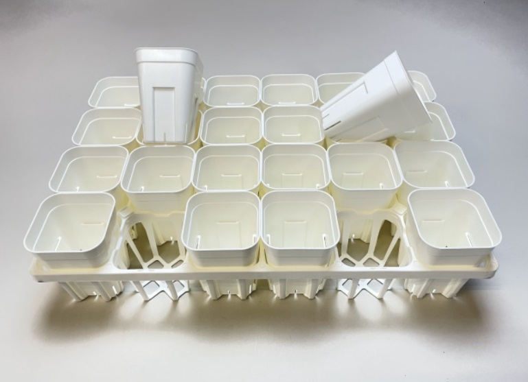 プレステラと専用トレイ
